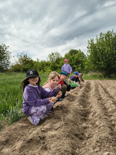 Z cyklu Turystyczne Wojsławice - przedsz...